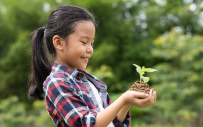 4 Tendências sustentáveis para 2022